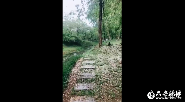 QQ截图20190423144309.png