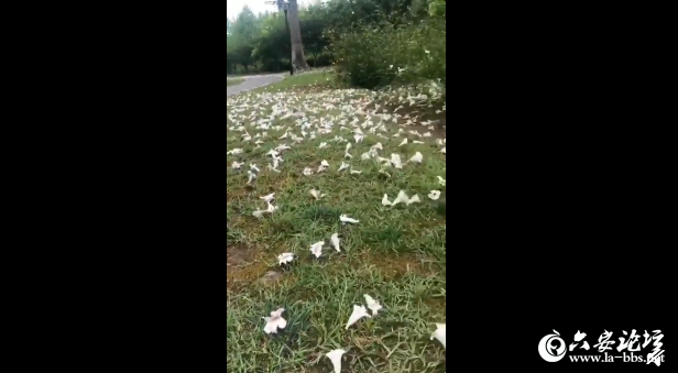 QQ截图20190423144329.png