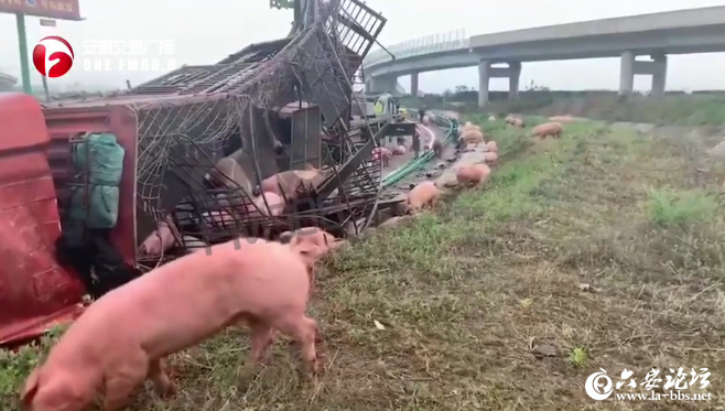 微信截图_20190424080549.png