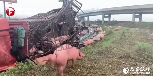 微信截图_20190424080612.png