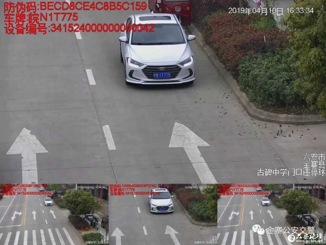 8.webp.jpg