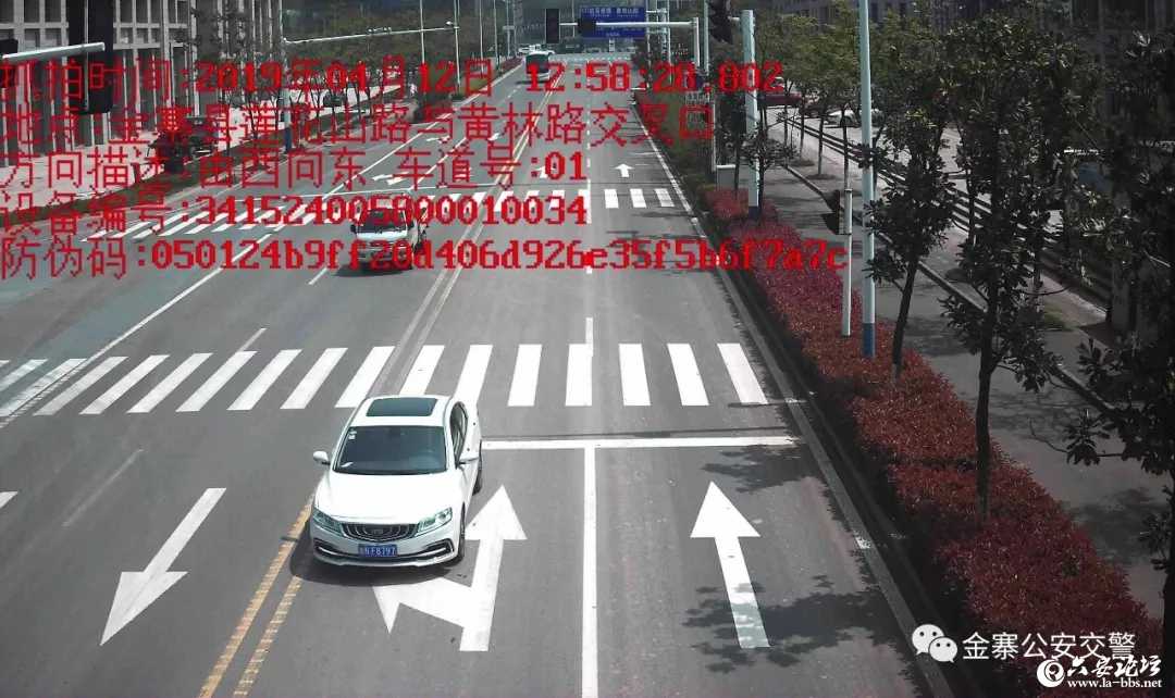 12.webp.jpg