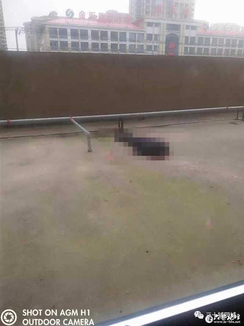 微信图片_20190424171408.jpg