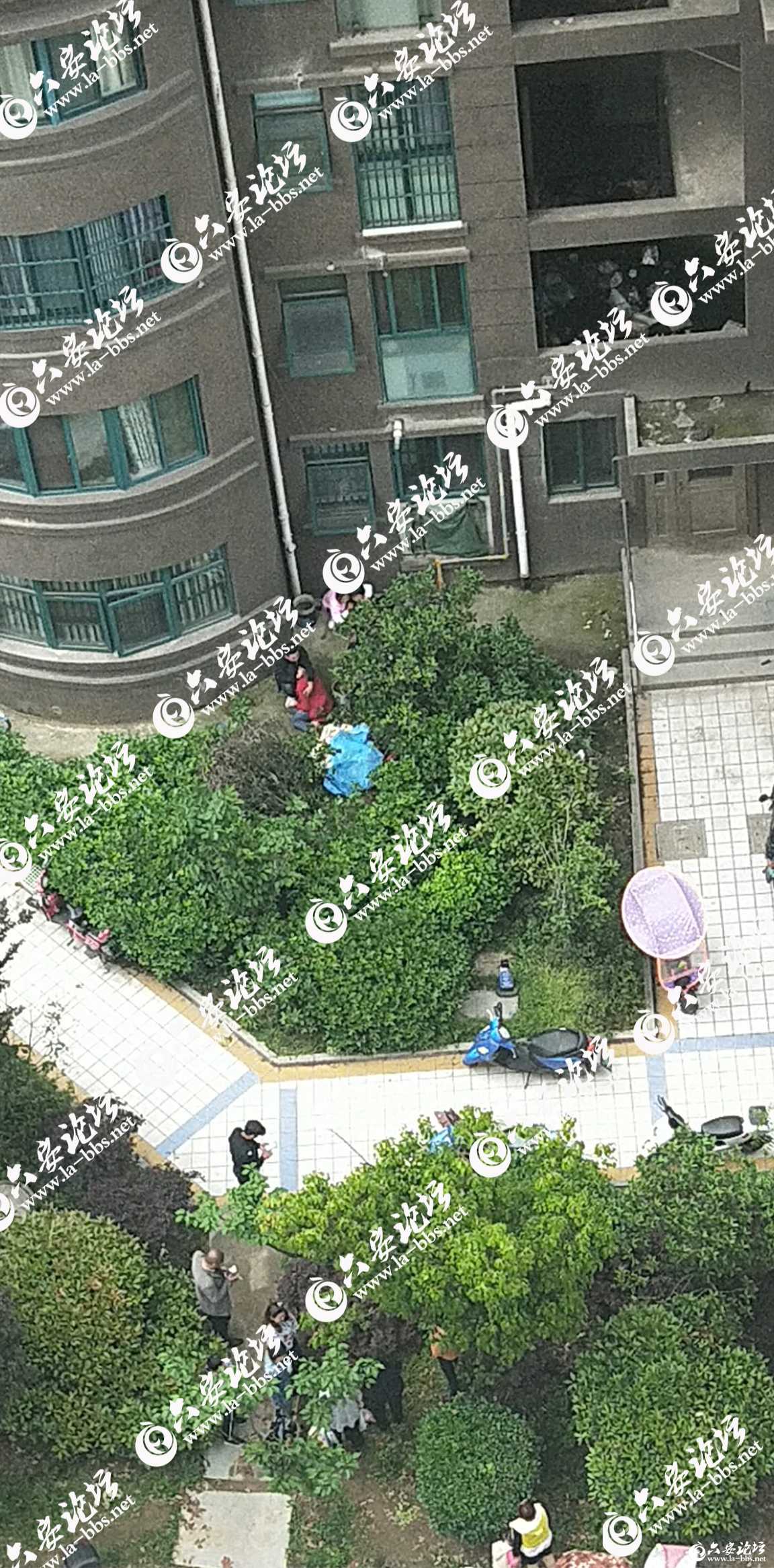 微信图片_20190425084749.jpg
