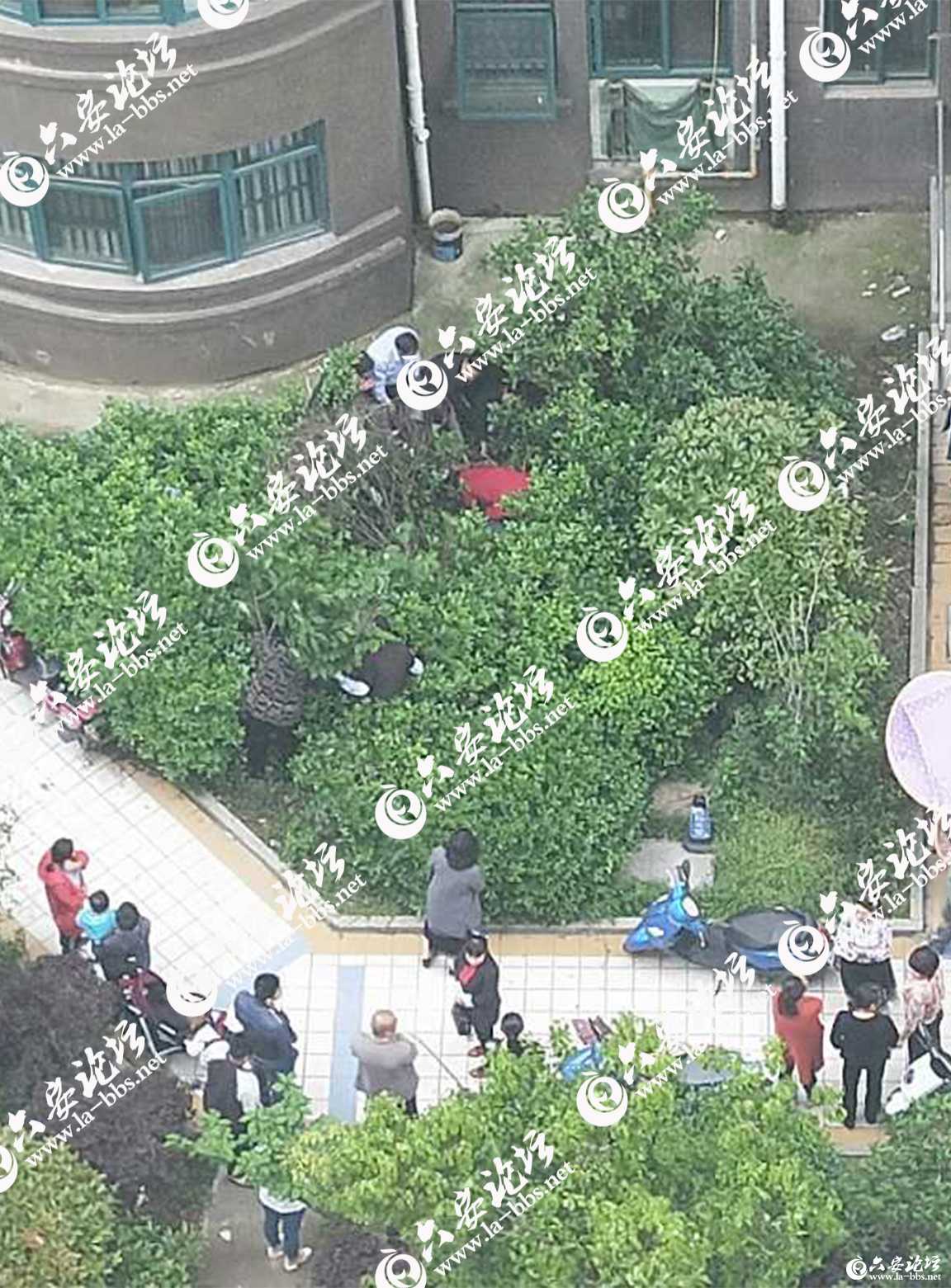 微信图片_20190425085031.jpg