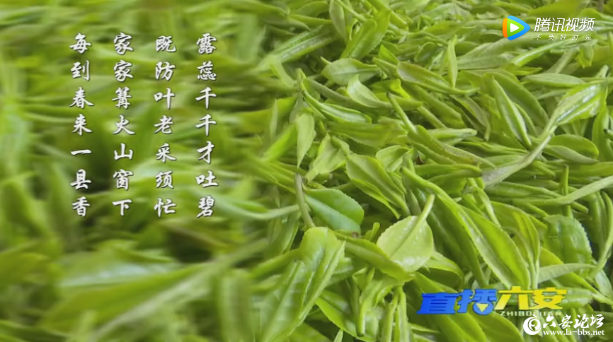 QQ截图20190503081841.png