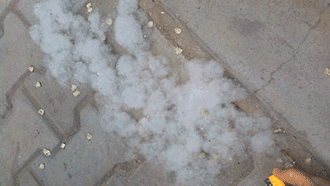 10.gif