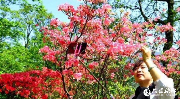 QQ截图20190505140853.png
