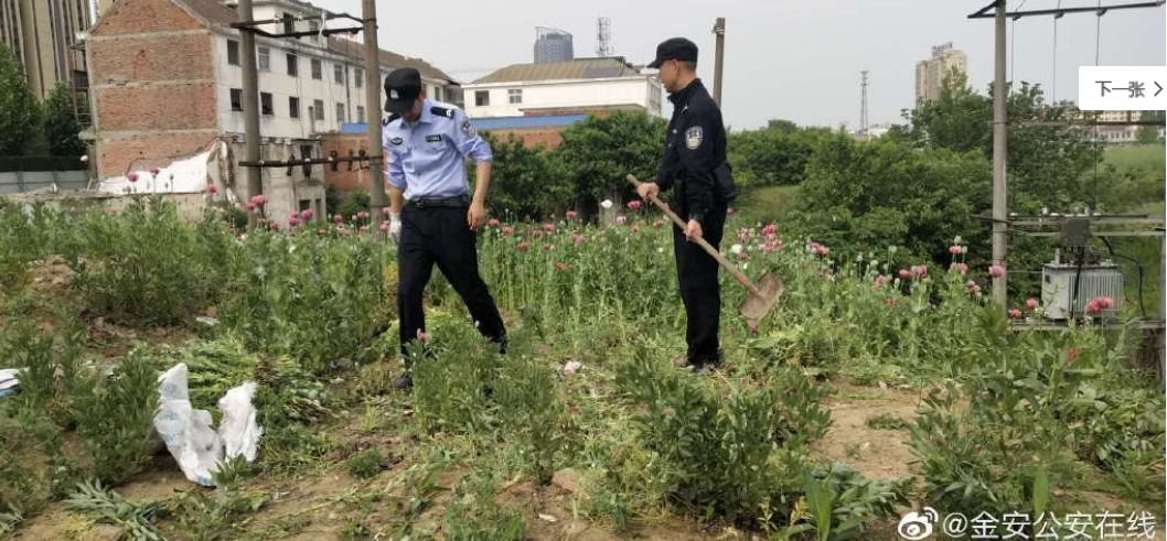 QQ截图20190509150524.png