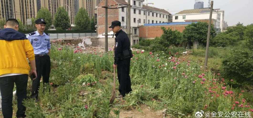 QQ截图20190509150532.png