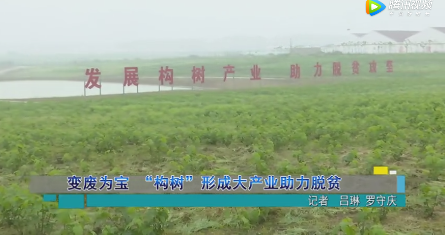 QQ截图20190510081950.png