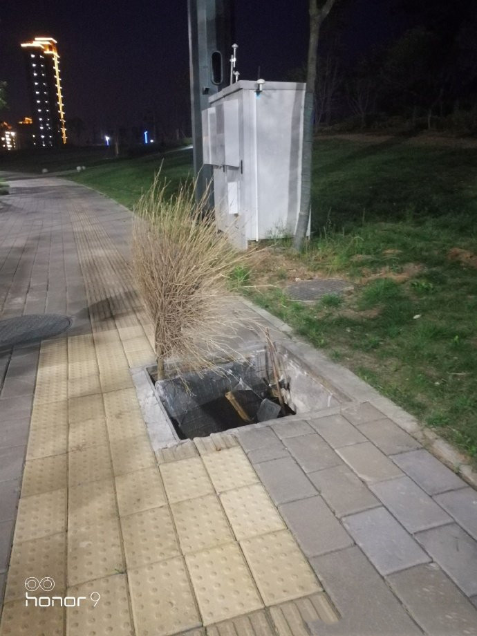 085606qgis2s838c8fj6og_副本.jpg