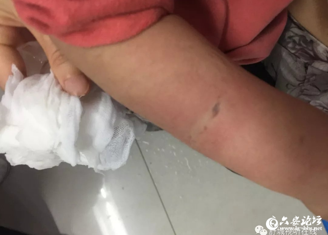 QQ截图20190515085425.png