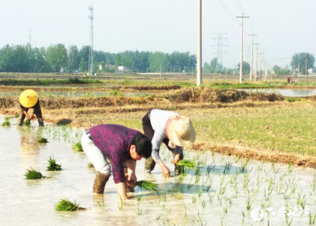 QQ截图20190516104014.png