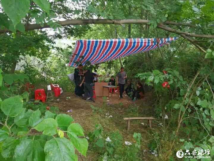 微信图片_20190517181258.jpg