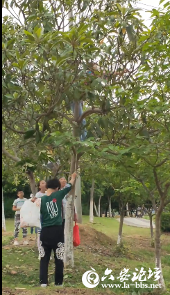 QQ截图20190519084957.png