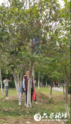 QQ截图20190519084948.png