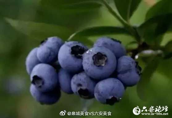 93c1d70ely1g3a1hp5eirj20fh0anq64.jpg
