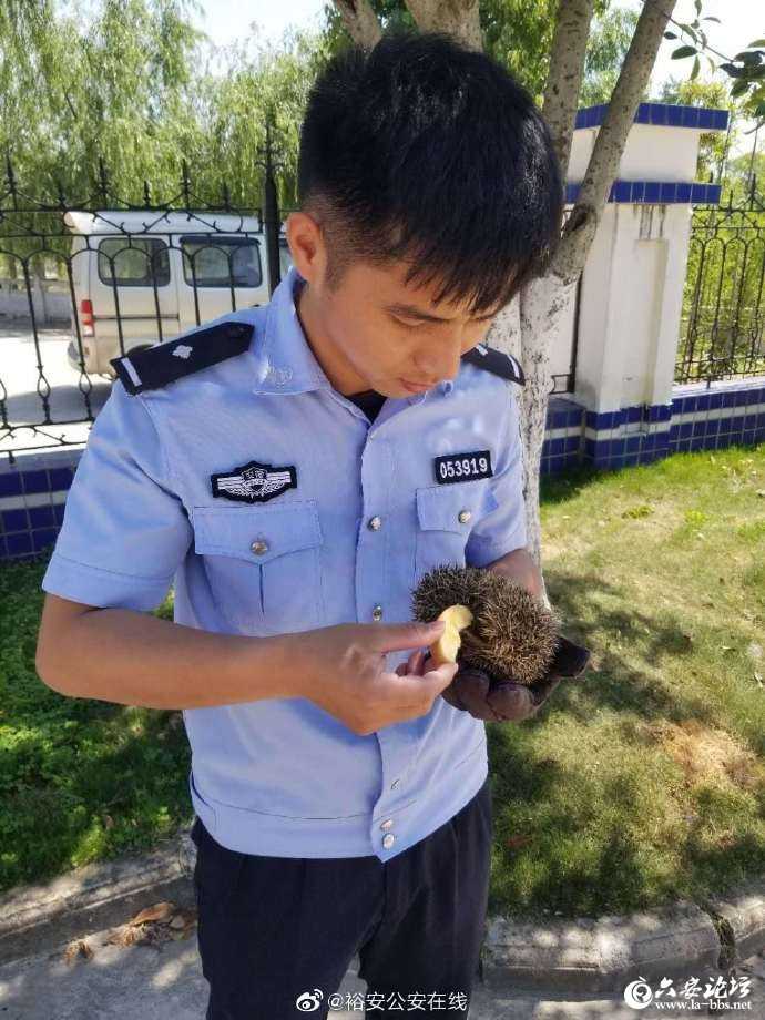 115918p97fabfmv7fm8mfz_副本.jpg