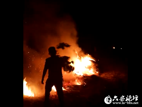 QQ截图20190527083250.png