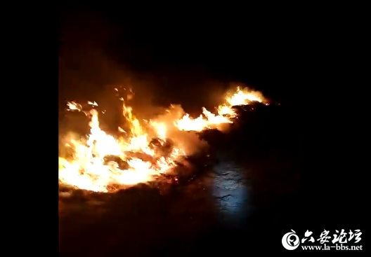 QQ截图20190527083307.png