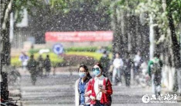 QQ截图20190527090223.png