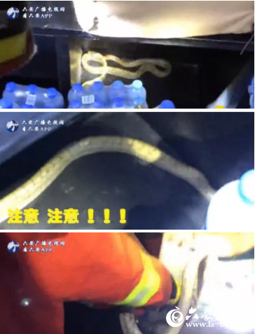 QQ截图20190530084316.png
