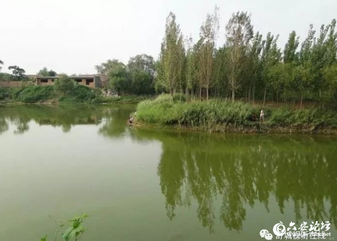 QQ截图20190531085604.png