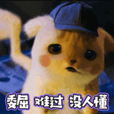 微信图片_20190601115558.gif