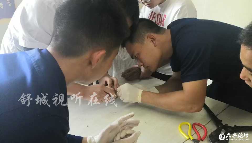 微信图片_20190601171627.jpg