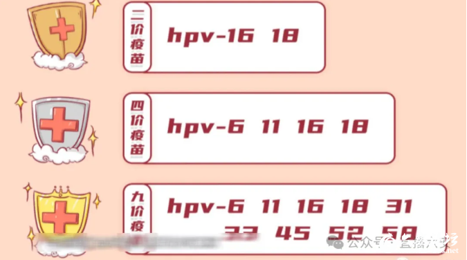 QQ截图20240410101849.png
