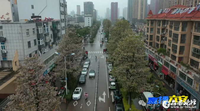 QQ截图20240411090910.png