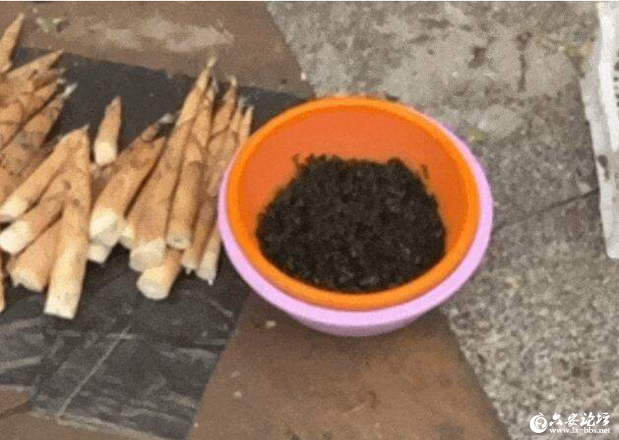 QQ截图20240415102715.png
