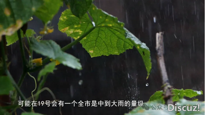 QQ截图20240419170544.png
