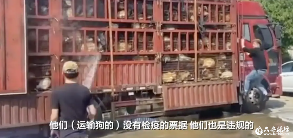 QQ截图20240423095334.png