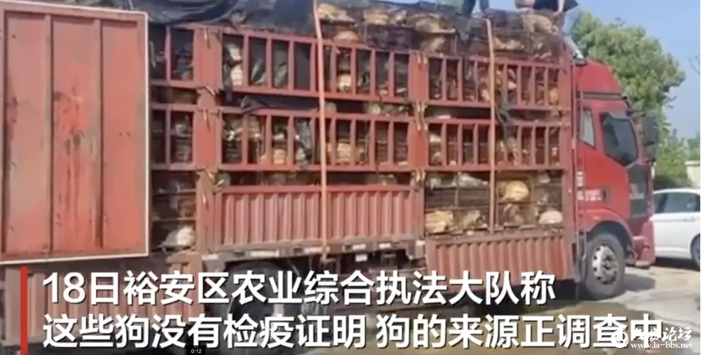 QQ截图20240423095328.png