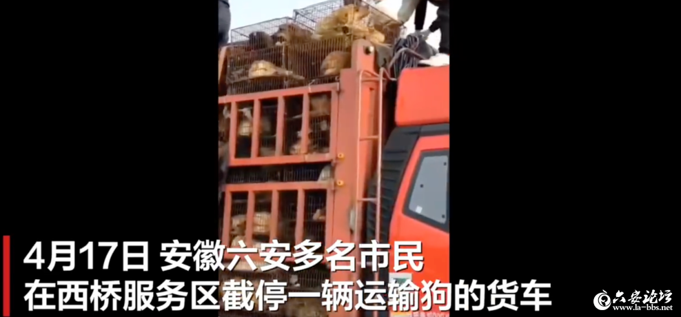 QQ截图20240423095322.png