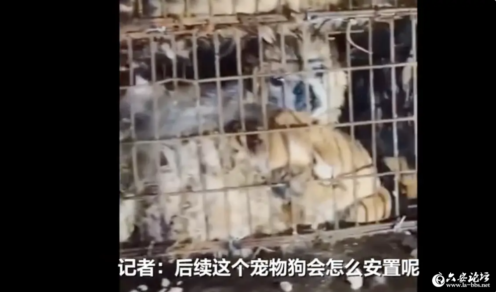 QQ截图20240423095340.png