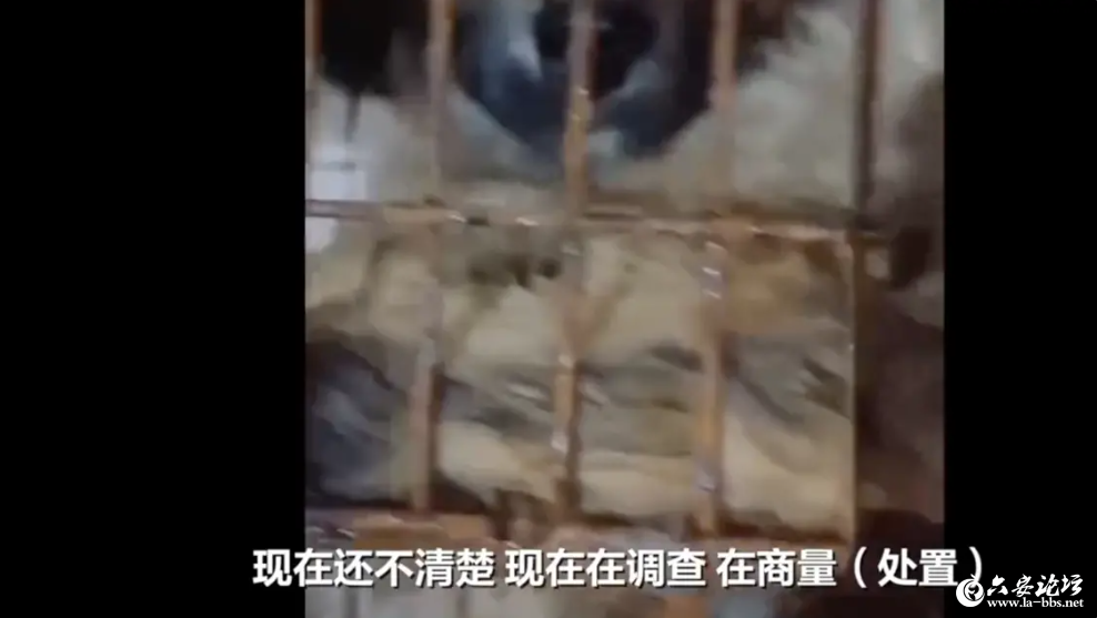 QQ截图20240423095346.png