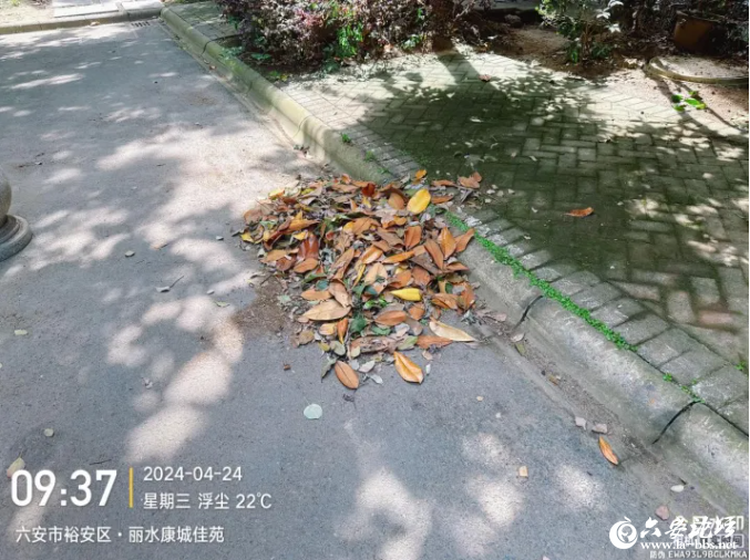 QQ截图20240428090753.png