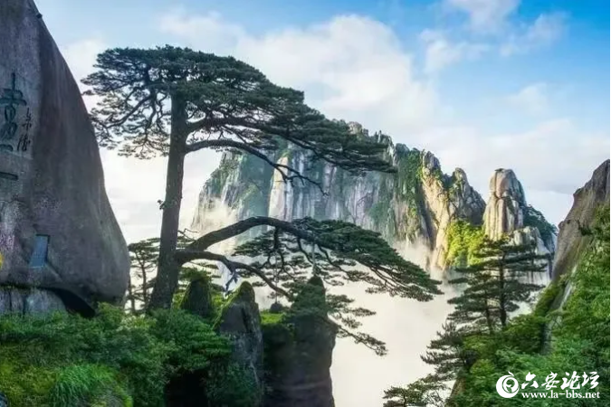 QQ截图20240428092521.png