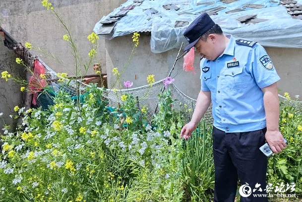 QQ截图20240428101328.png