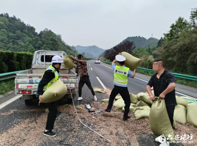 QQ截图20240429092601.png