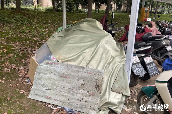 QQ截图20240506093252.png