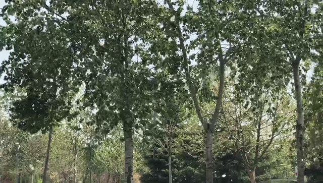 640 (1).gif