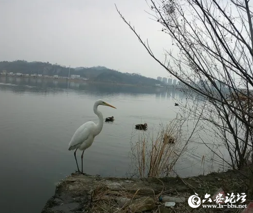 QQ截图20240508080322.png