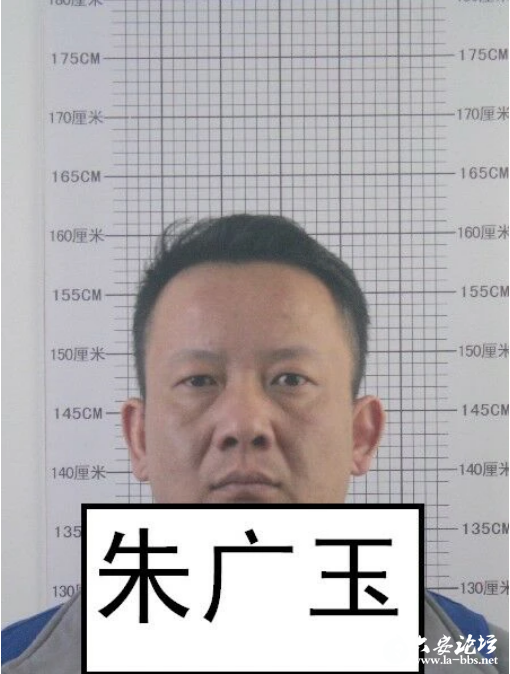 QQ截图20240509082113.png