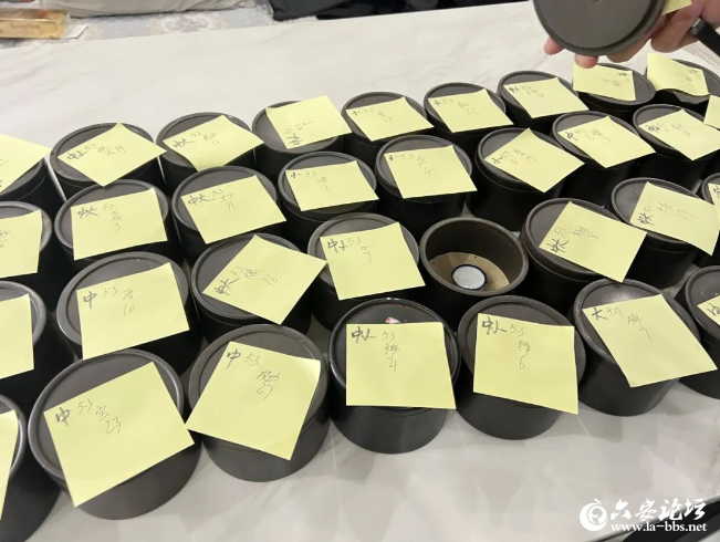 QQ截图20240509082815.png