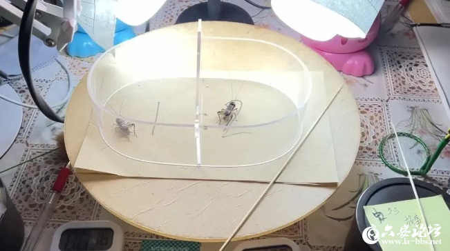 QQ截图20240509082854.png