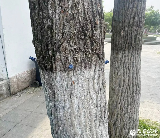 QQ截图20240510084002.png